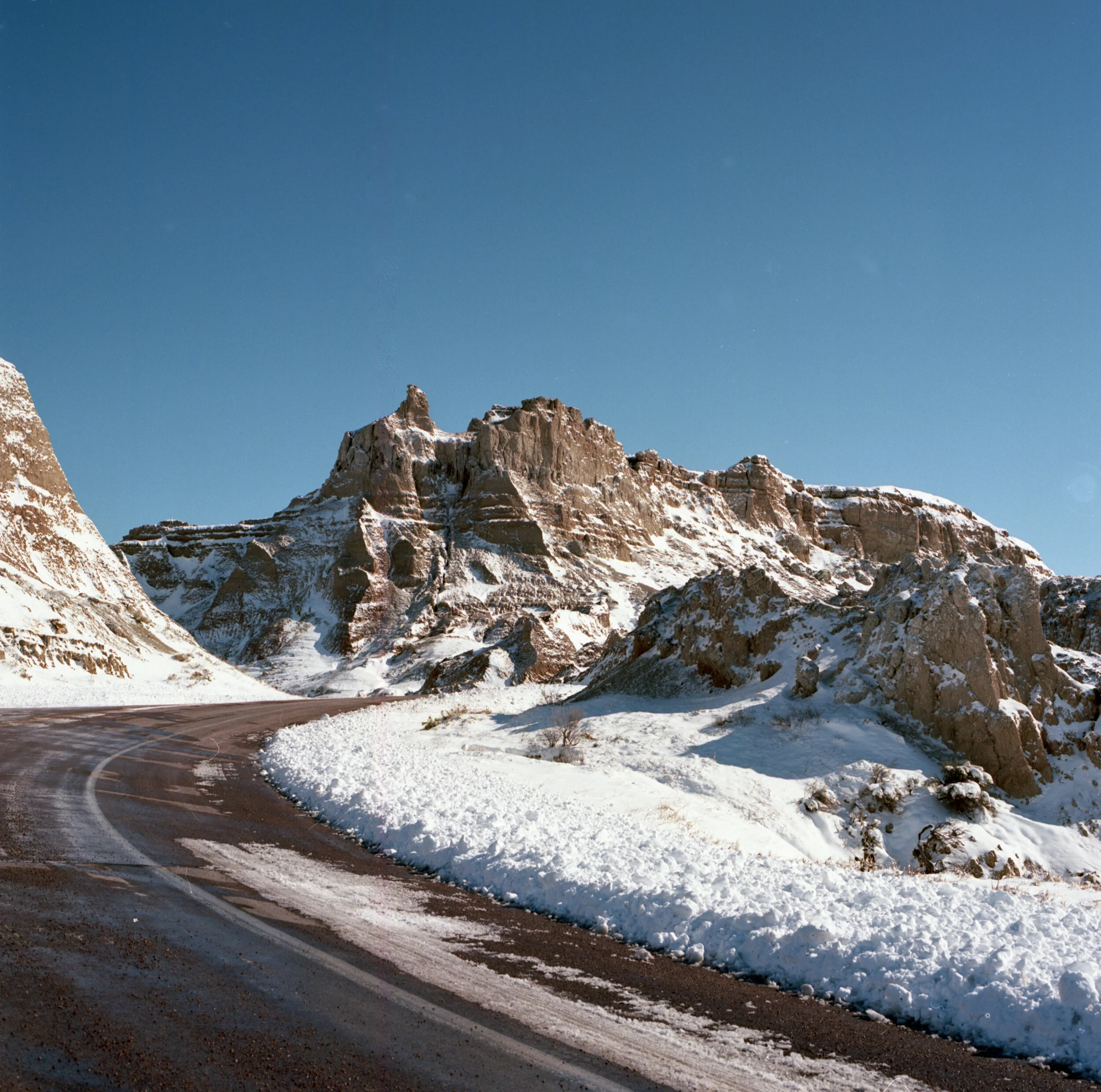img20201229_23373162(web).jpg