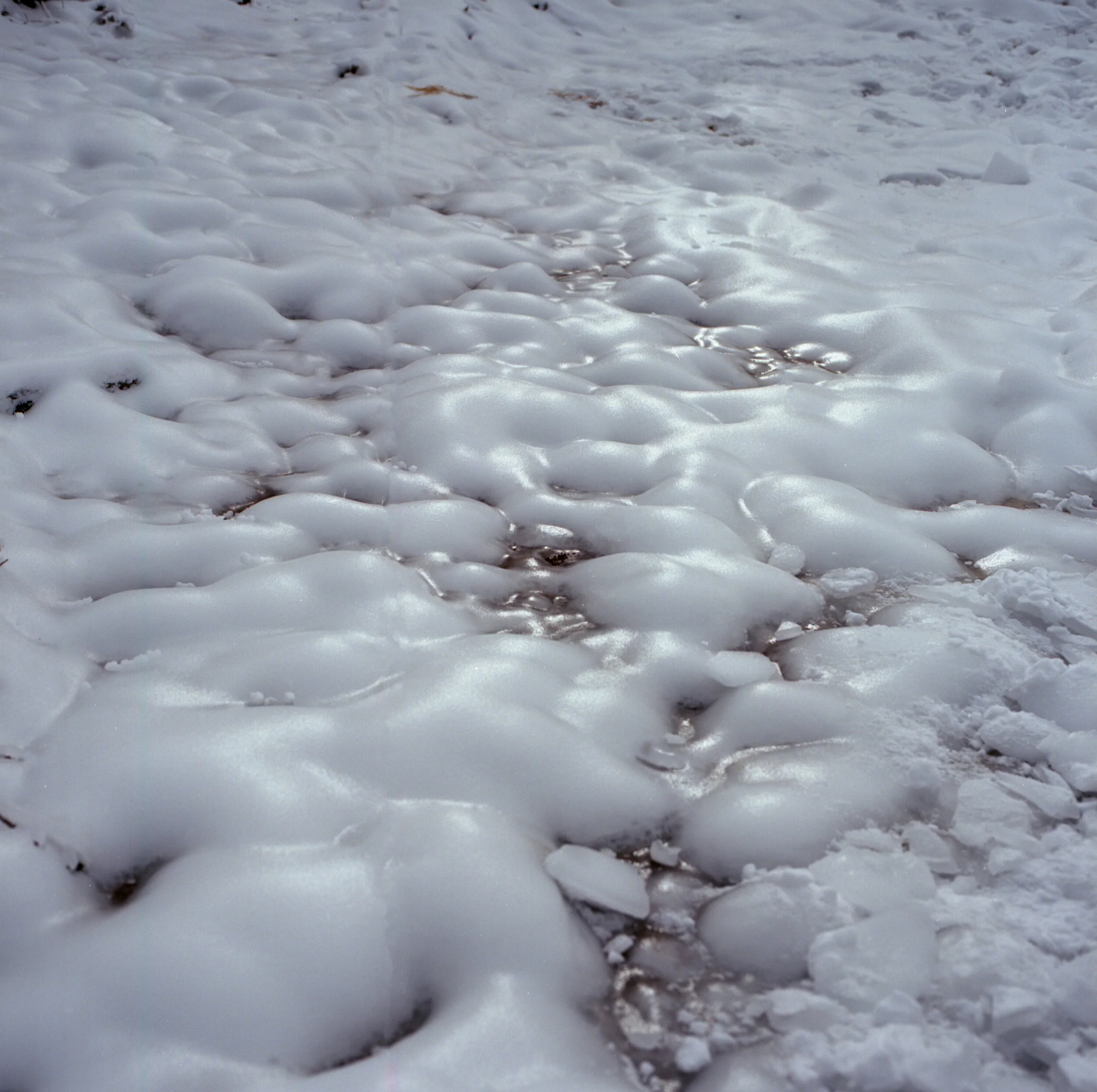 img20201229_18104291(web).jpg