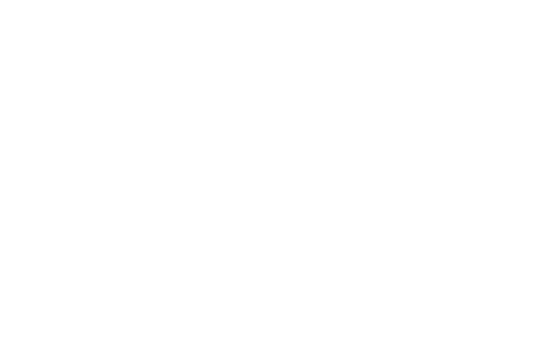 WINNER - BEST TV PILOT HOBOKEN INTERNATIONAL FILM FEST. - 2019-2.png