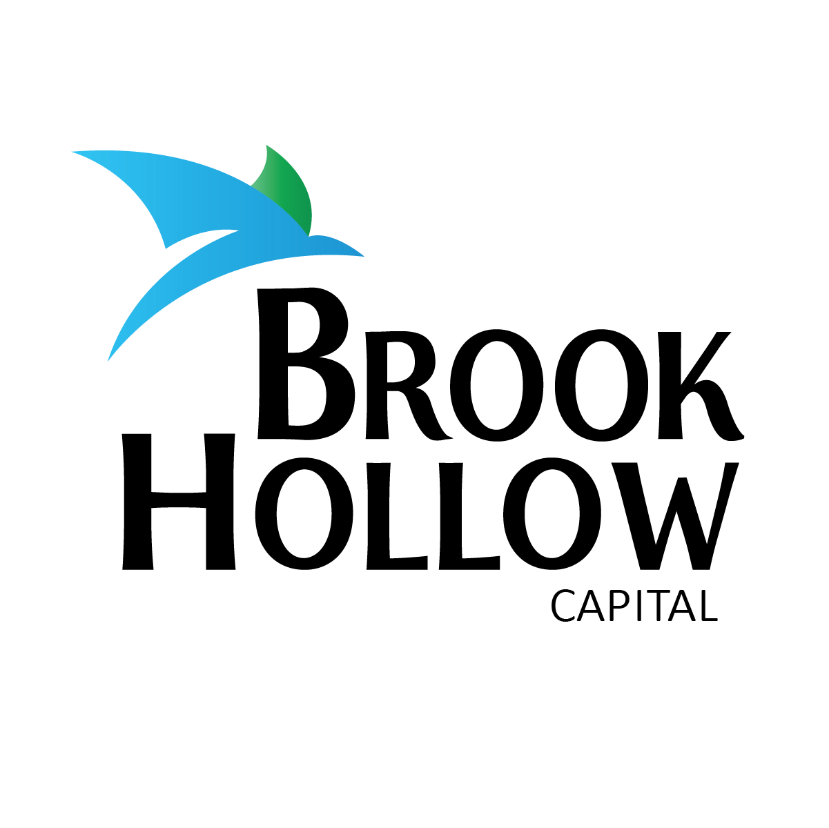 Brook Hollow Capital (002).png