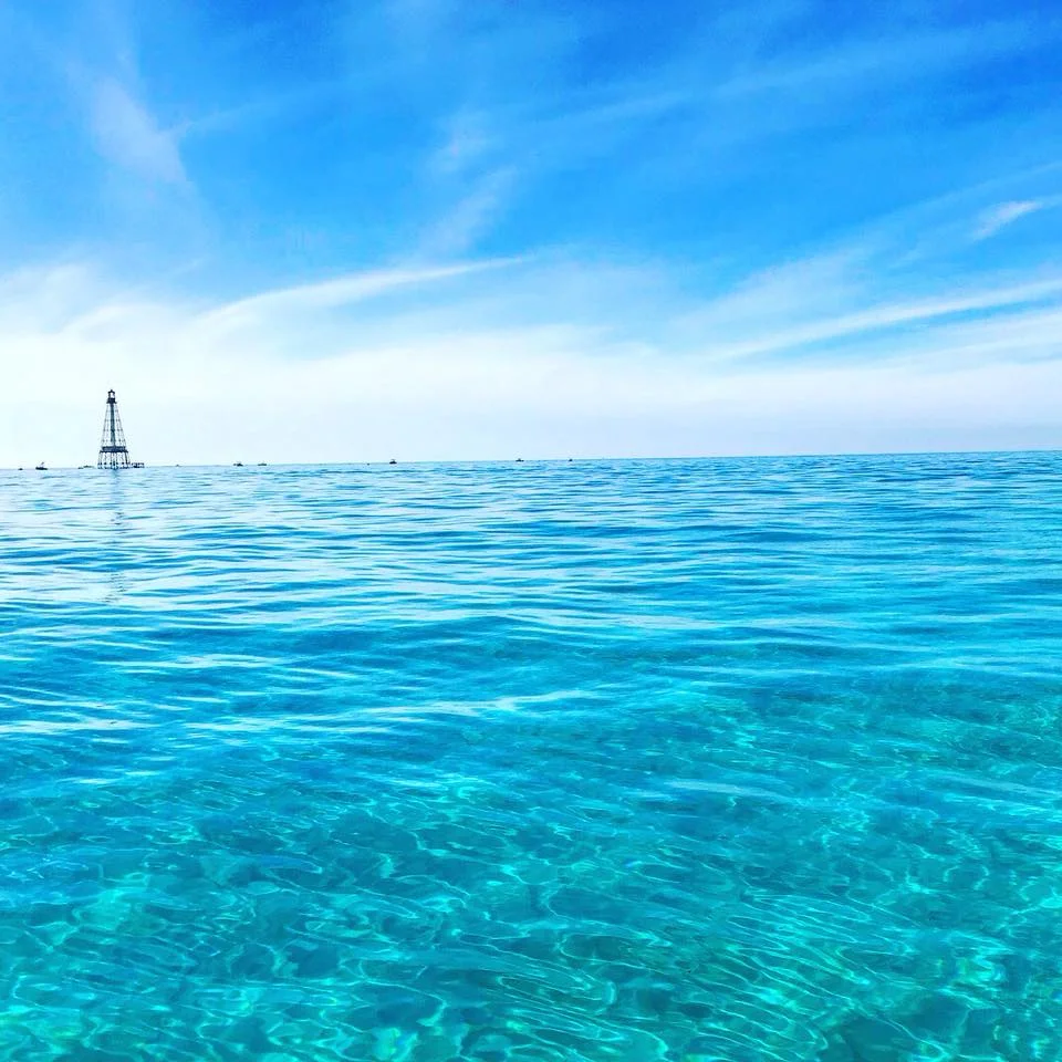 Aligator Light house.jpg