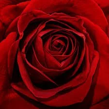 3 EASY WAYS TO BECOME MORE YIN