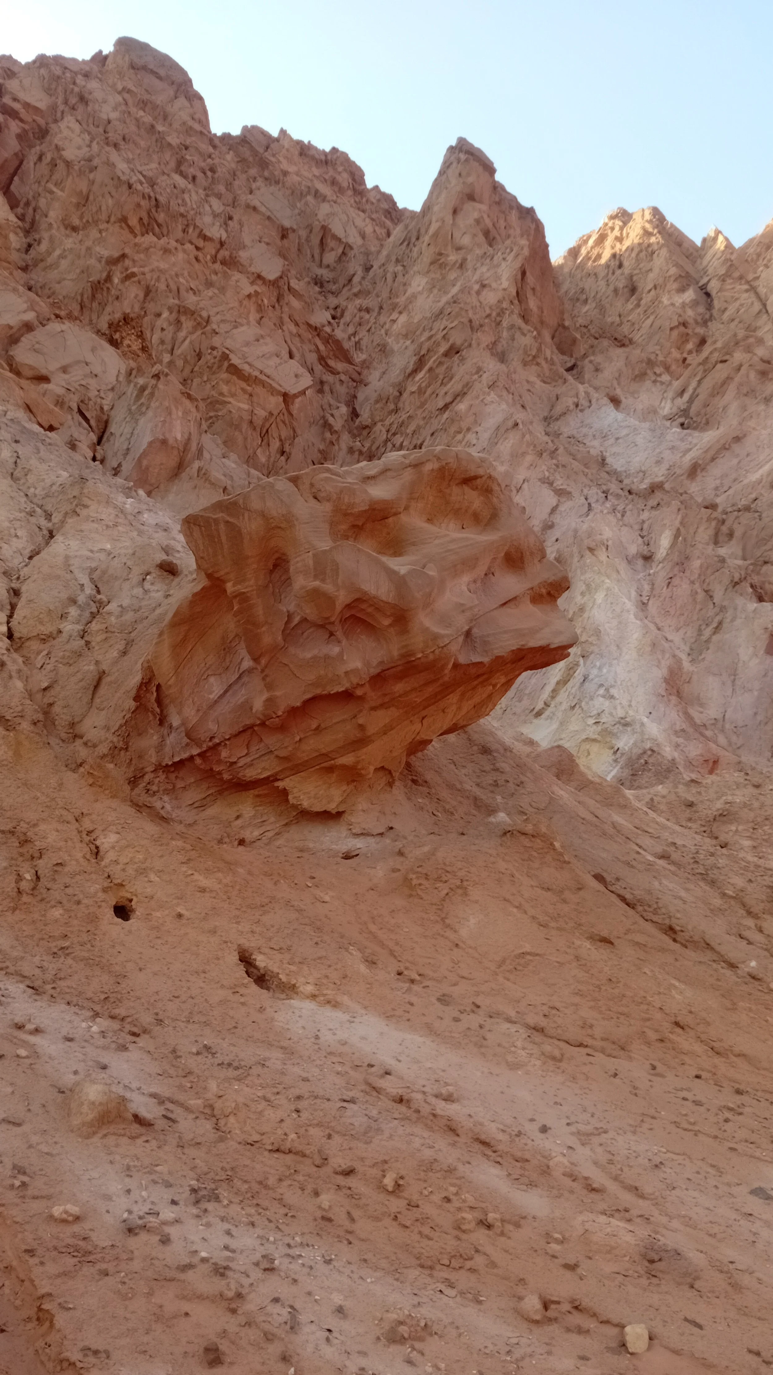 THE ANATOMY OF SLOW- SOFTNESS