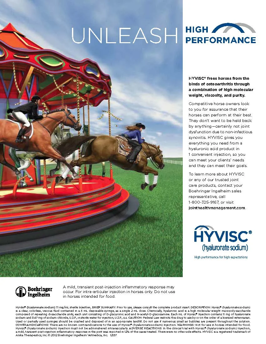 Hyvisc Ad.jpg