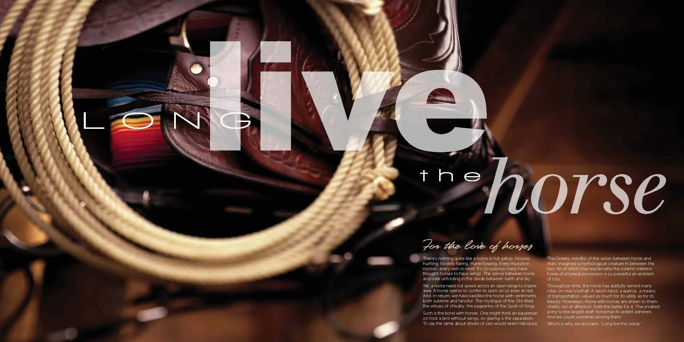 Eq Corp Brochure_Page_2.jpg