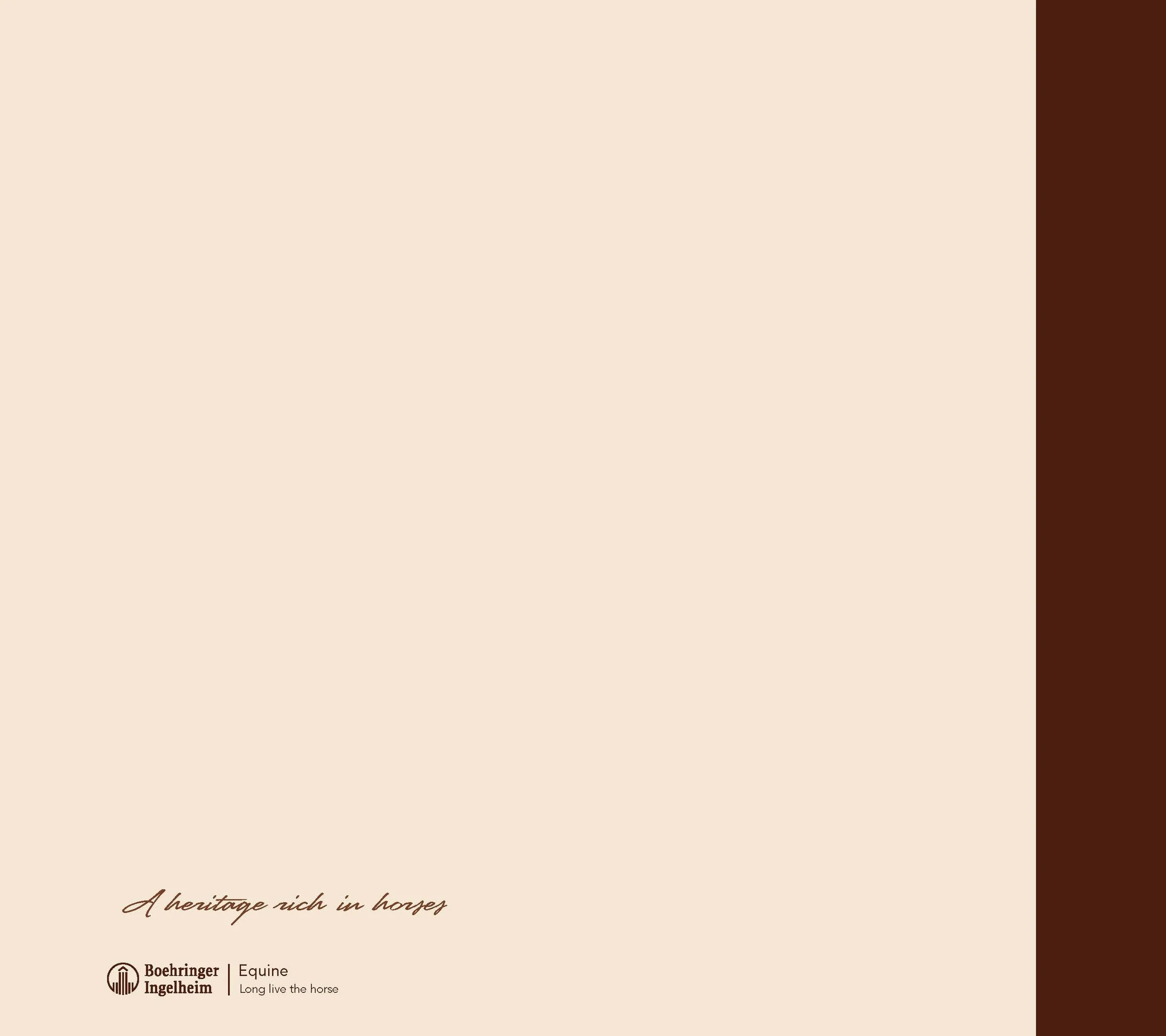 Eq Corp Brochure_Page_4.jpg