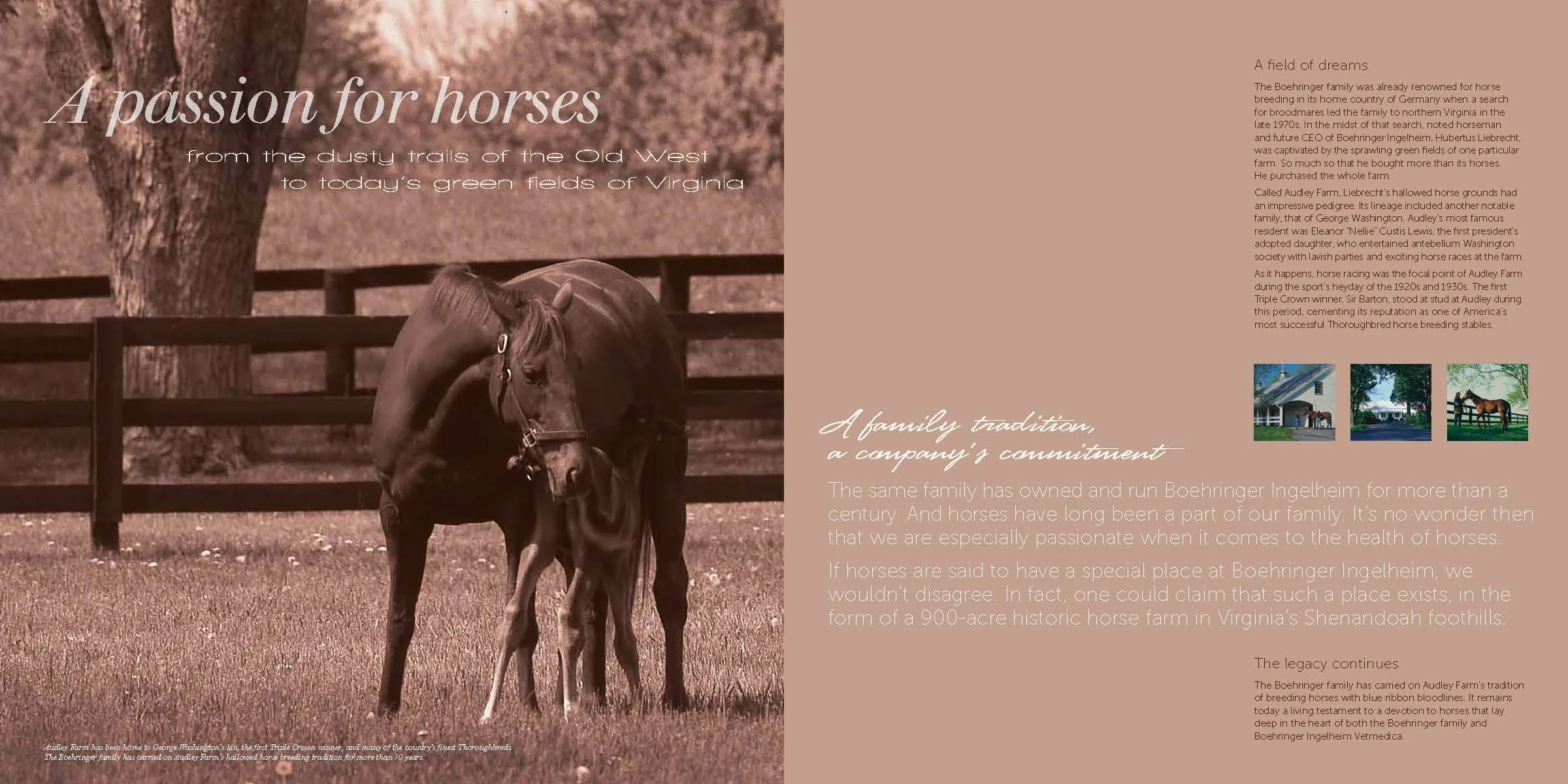 Eq Corp Brochure_Page_3.jpg