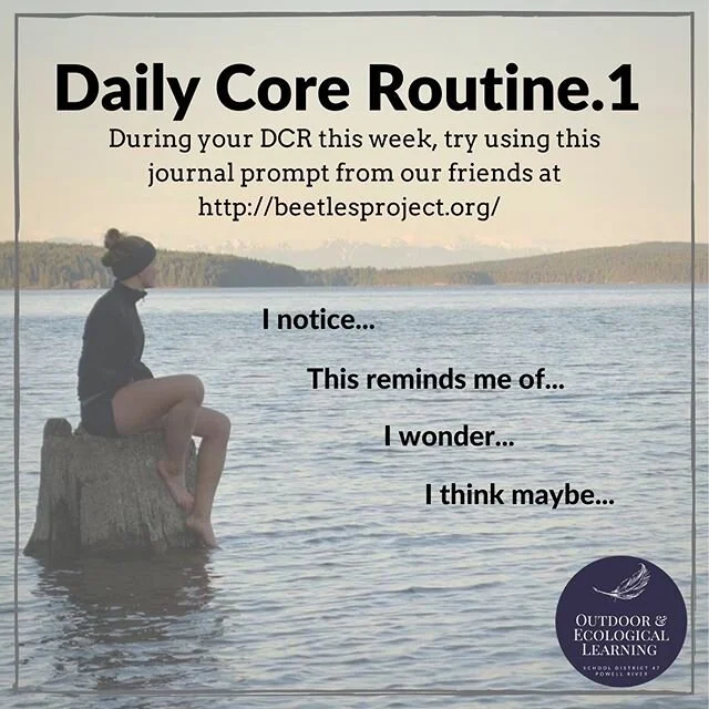 We hope you are enjoying your Daily Core Routines. While you are at your sit spot this week we invite you to use this inquiry prompt. Hope this week is rewarding and don’t hesitate to reach out if you require some support. 
#leadership #citizen