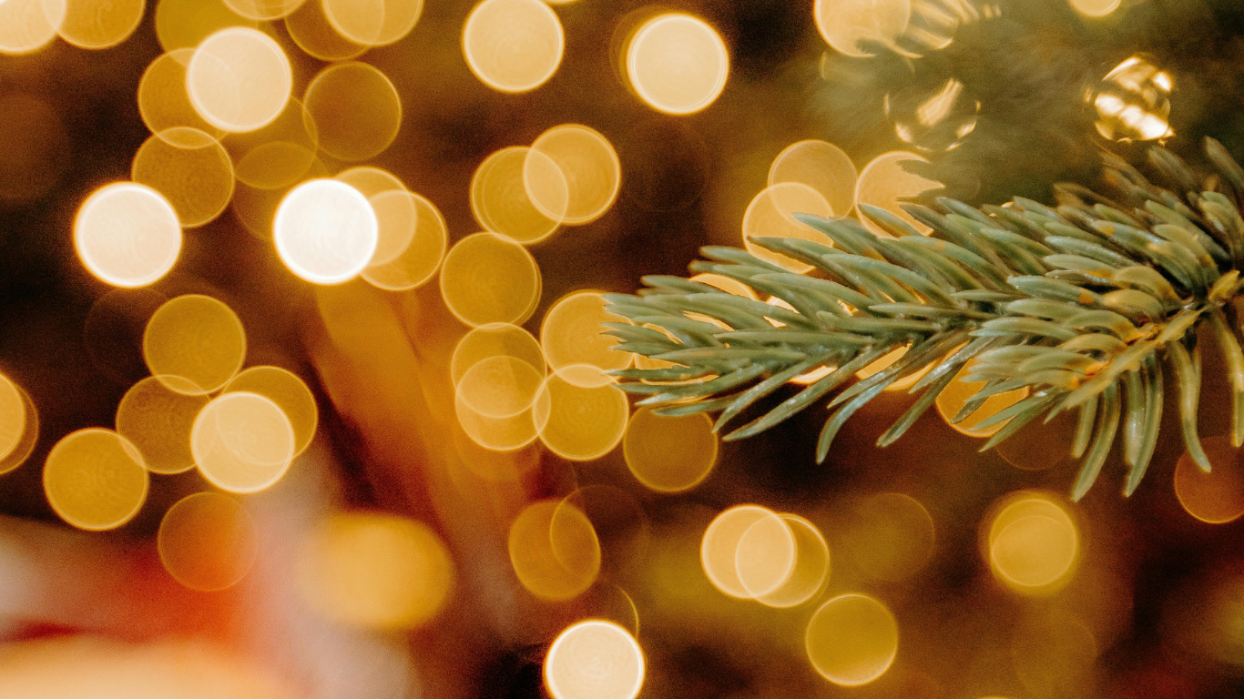 A Wonderful Year at CHV: 2025 in Review
