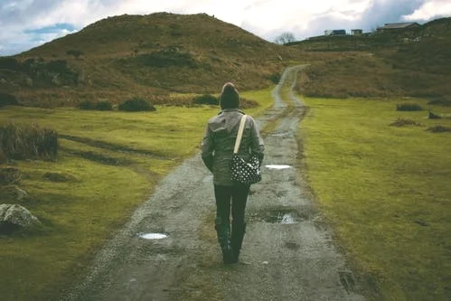 Navigating the Terrain: PhD vs EdD?