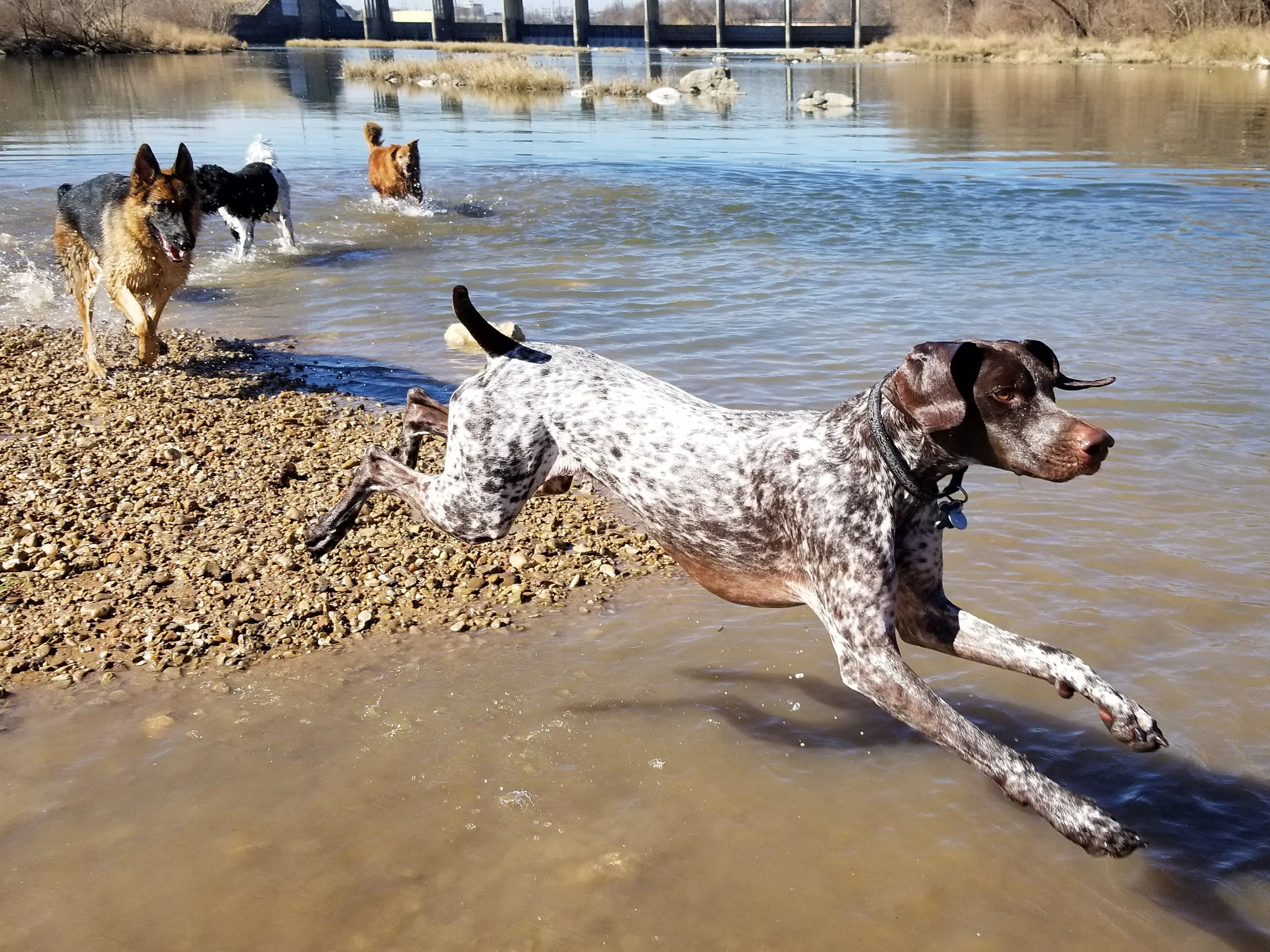 20180130_114219.jpg
