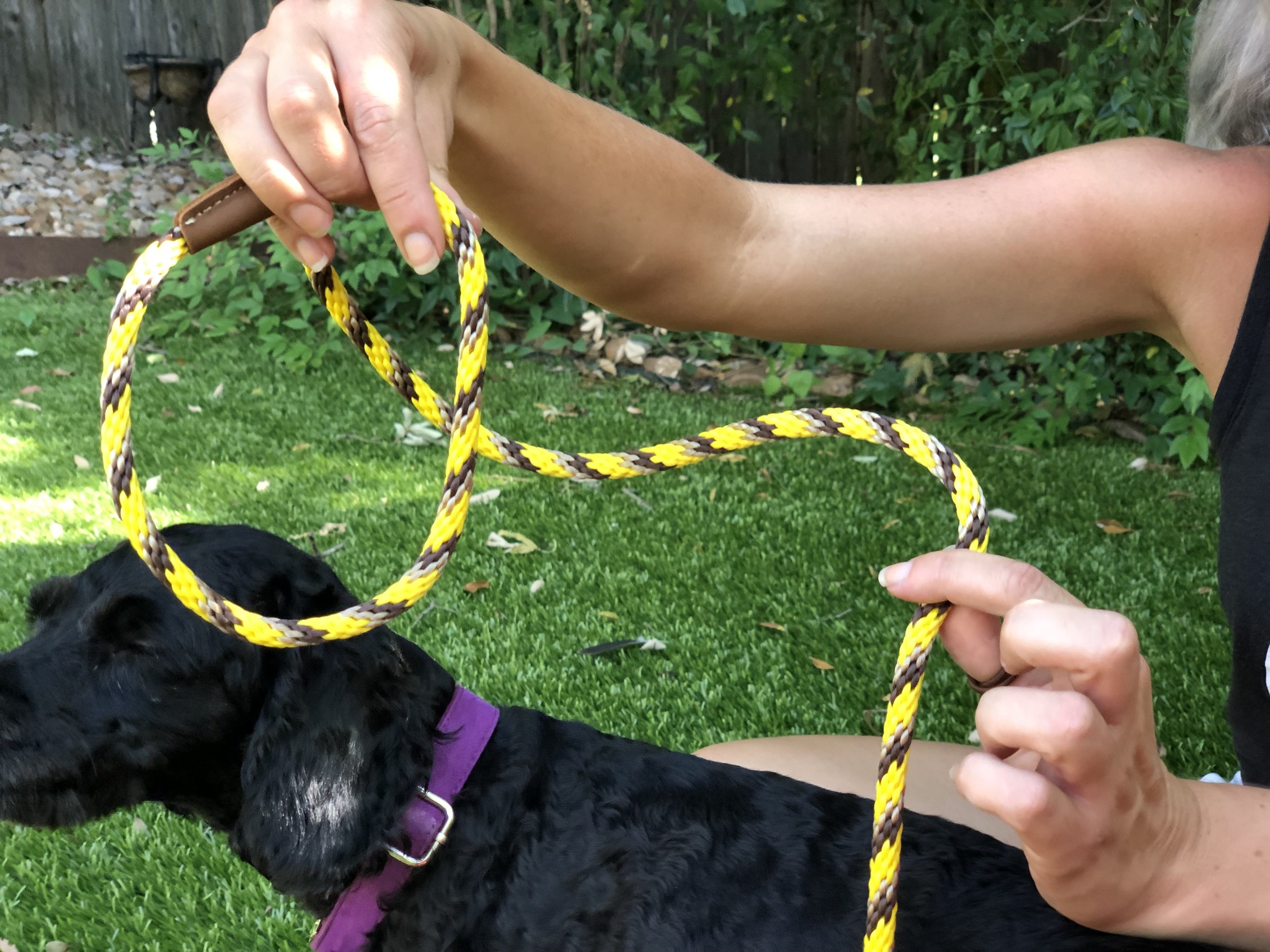 How to Use the Mendota Slip Lead — The Naked Dog learn dog
