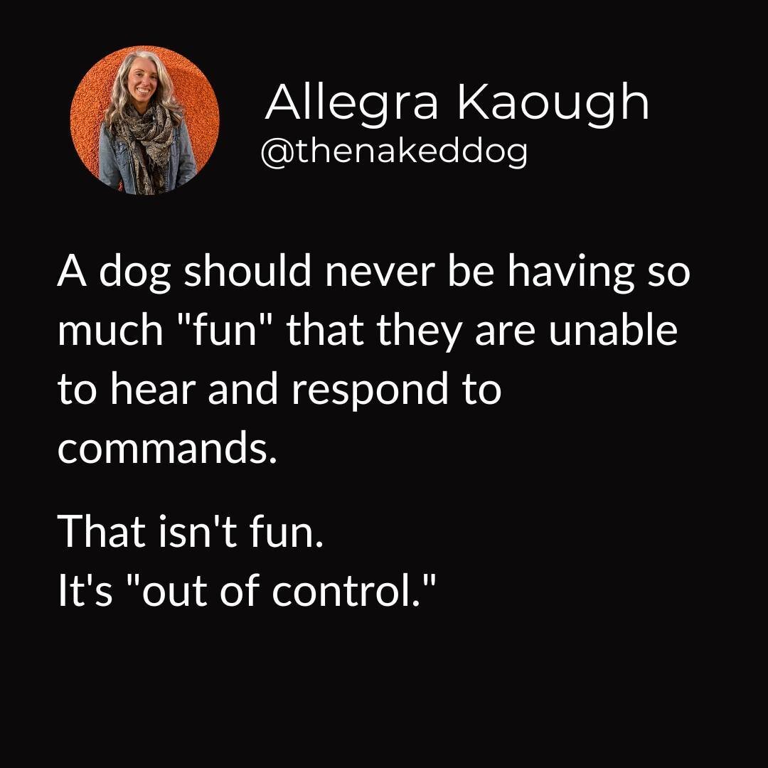 A dog should never be having so much &quot;fun&quot; that they are unable to hear and respond to commands.

That isn't fun.
It's &quot;out of control.&quot;

*Get my Monthly Nude Letter delivered straight to your inbox by signing up today! 💌
*Don't 