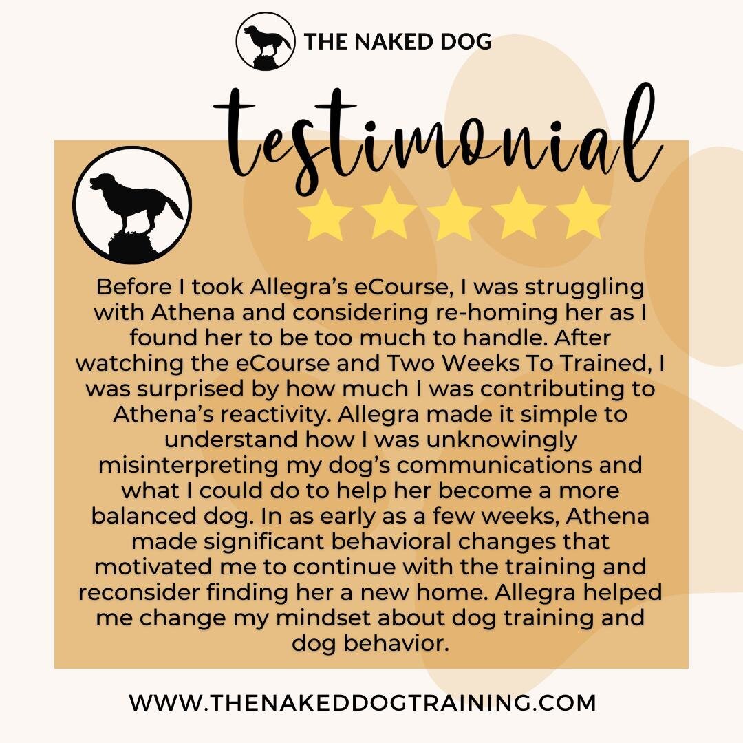 Before I took Allegra&rsquo;s eCourse, I was struggling with Athena and considering re-homing her as I found her to be too much to handle. After watching the eCourse and Two Weeks To Trained, I was surprised by how much I was contributing to Athena&r