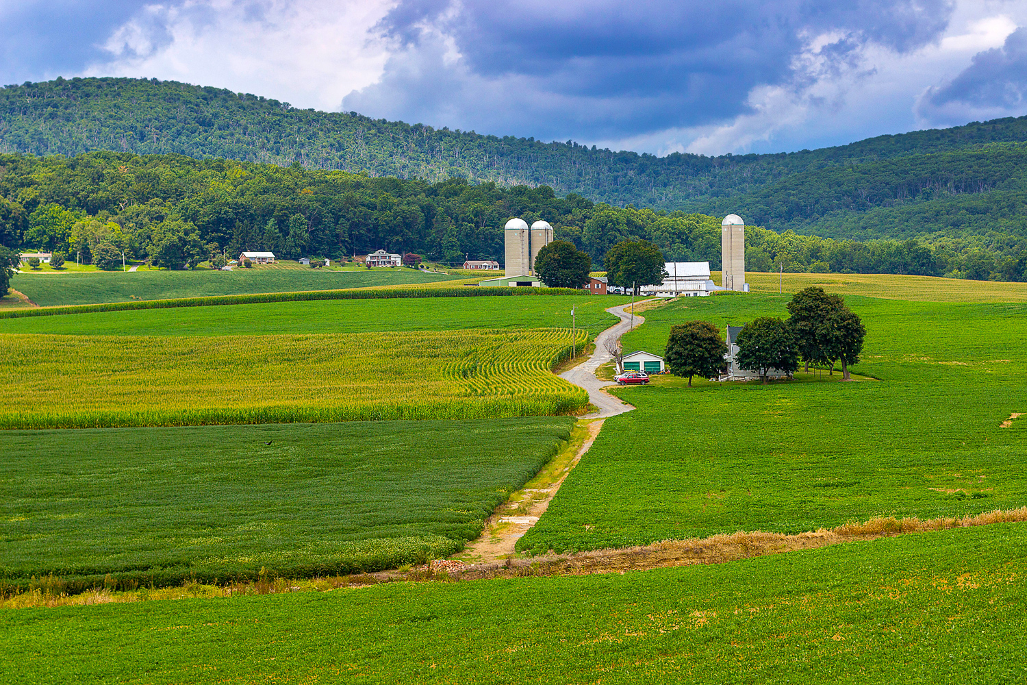 2015-08-09-St farm in PA_5.jpg