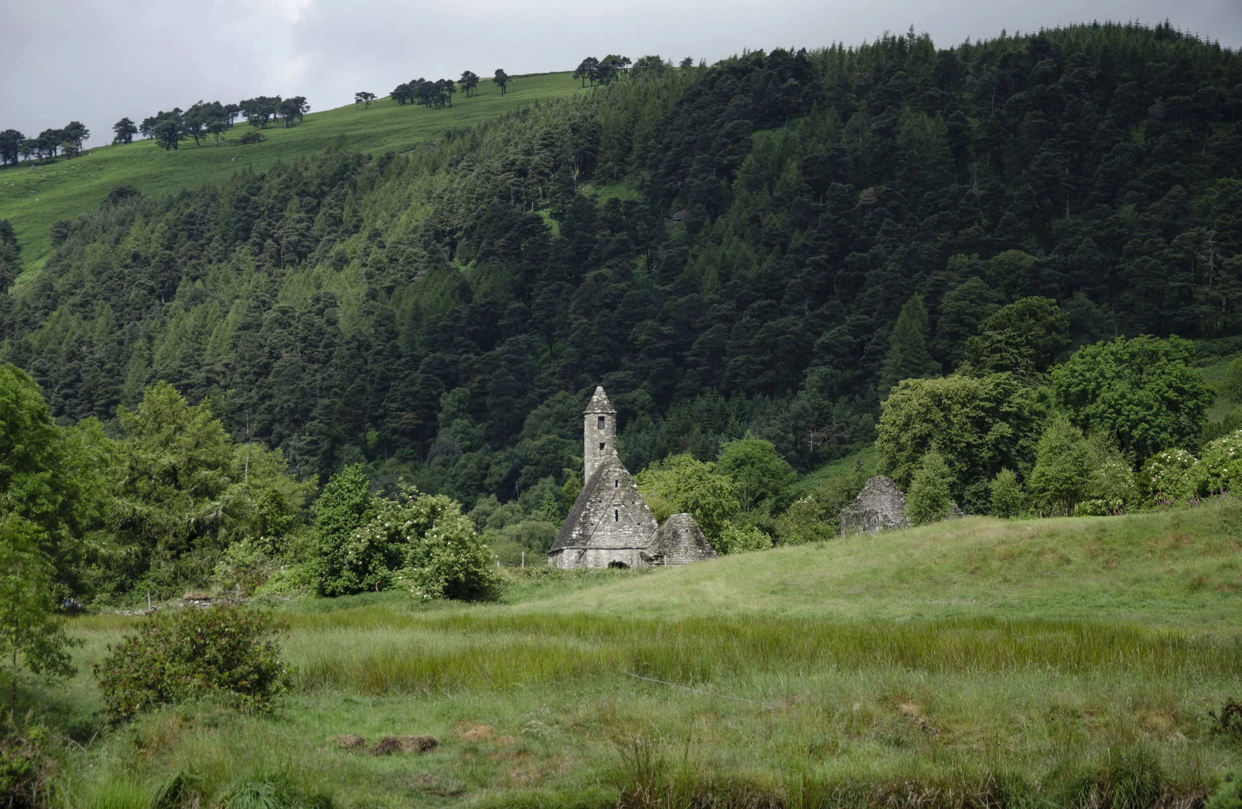 DSC_6781.jpg