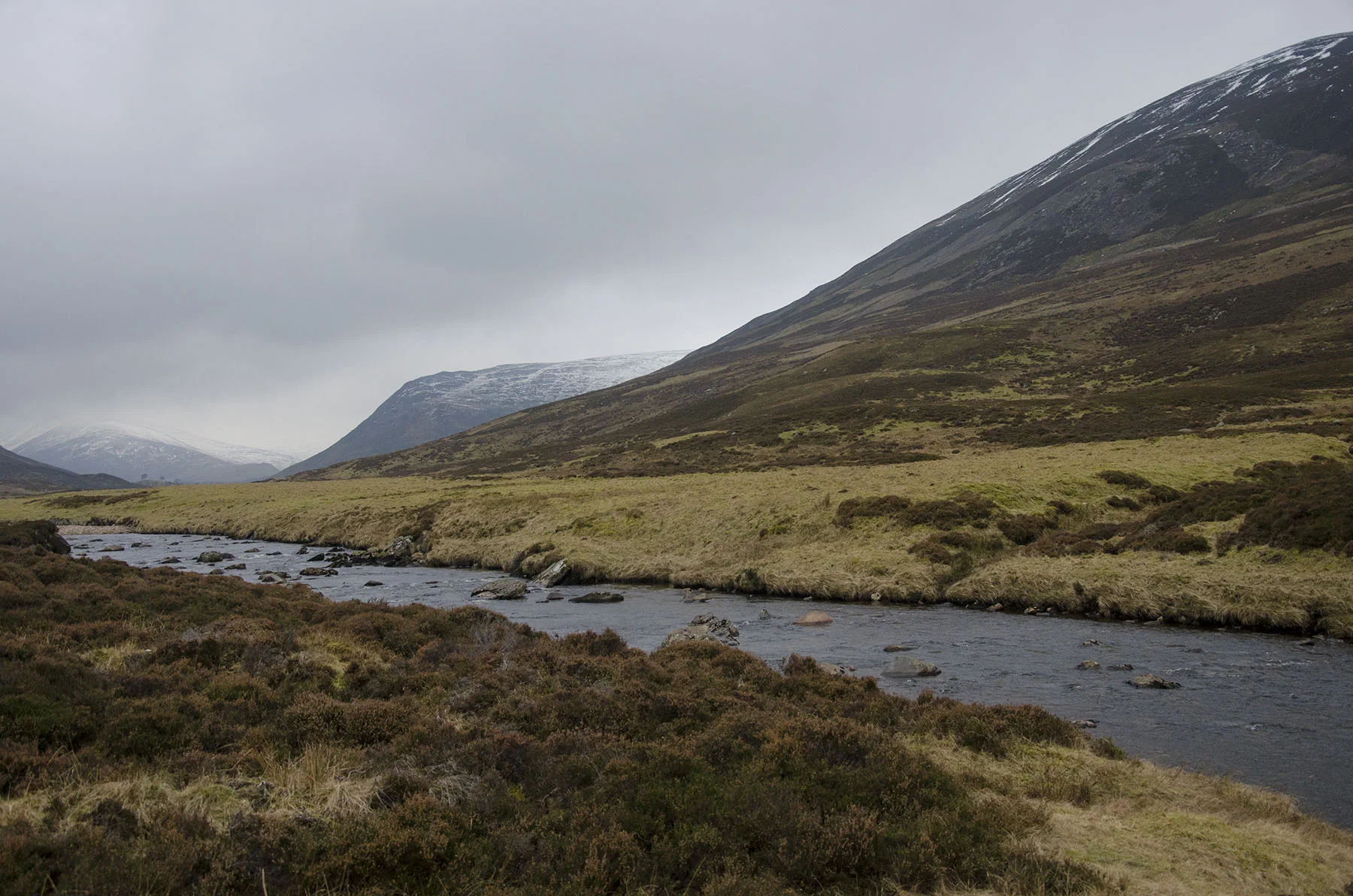 DSC_0737.jpg