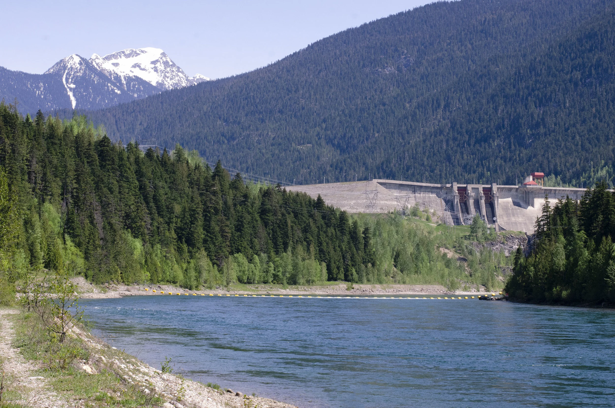 DSC_3886.jpg