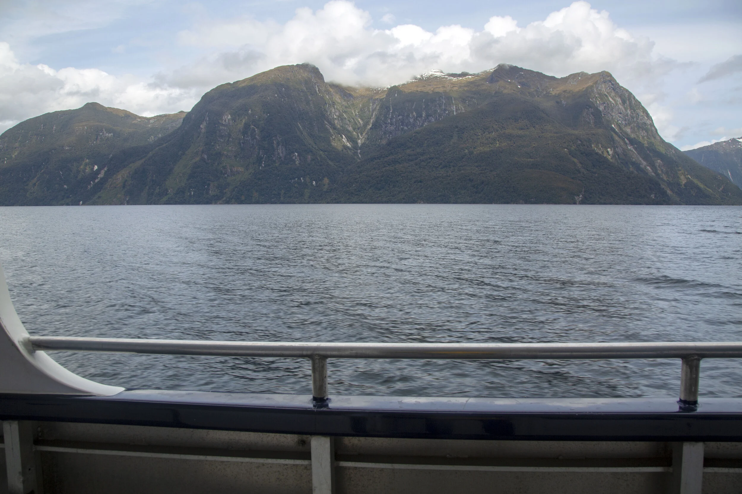 172A8772.jpg