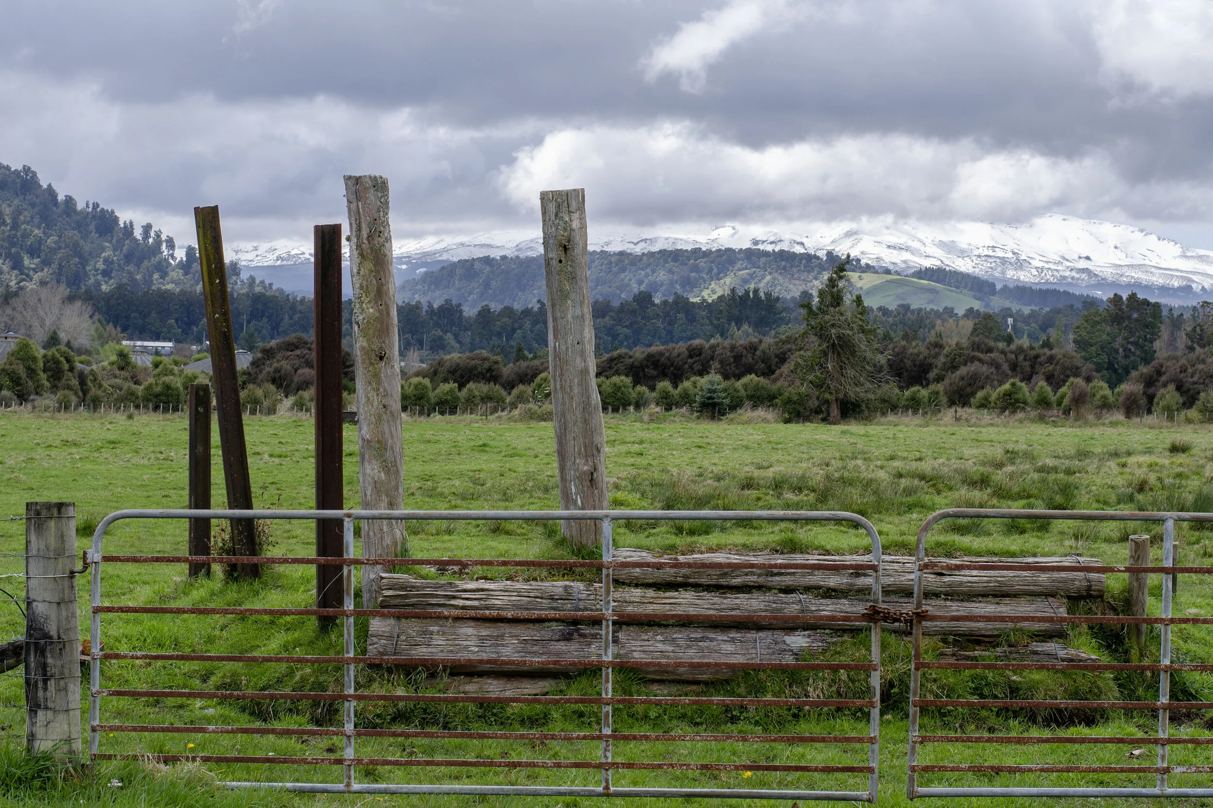 DSC_5889.jpg