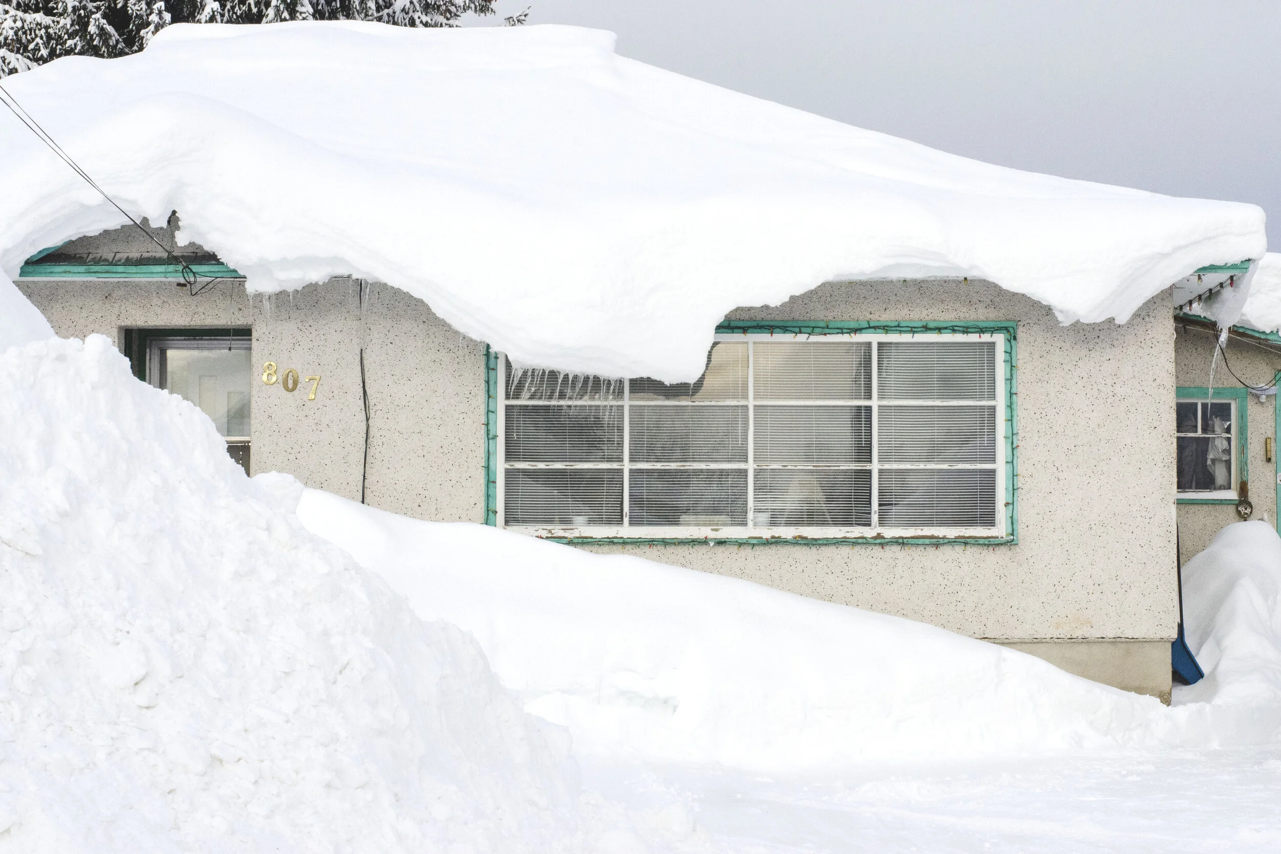 _DSC6684.jpg