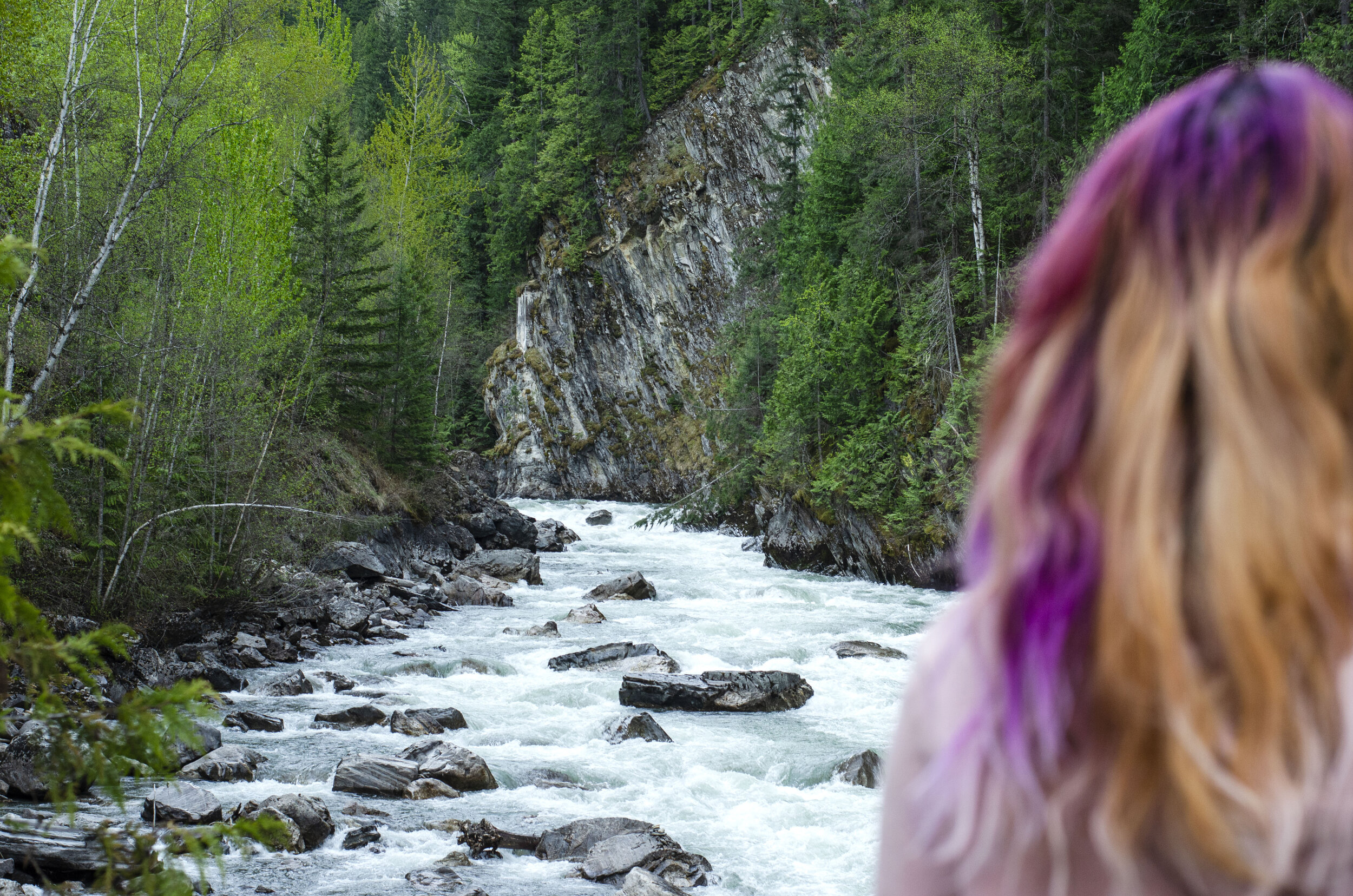 Illecillewaet River
