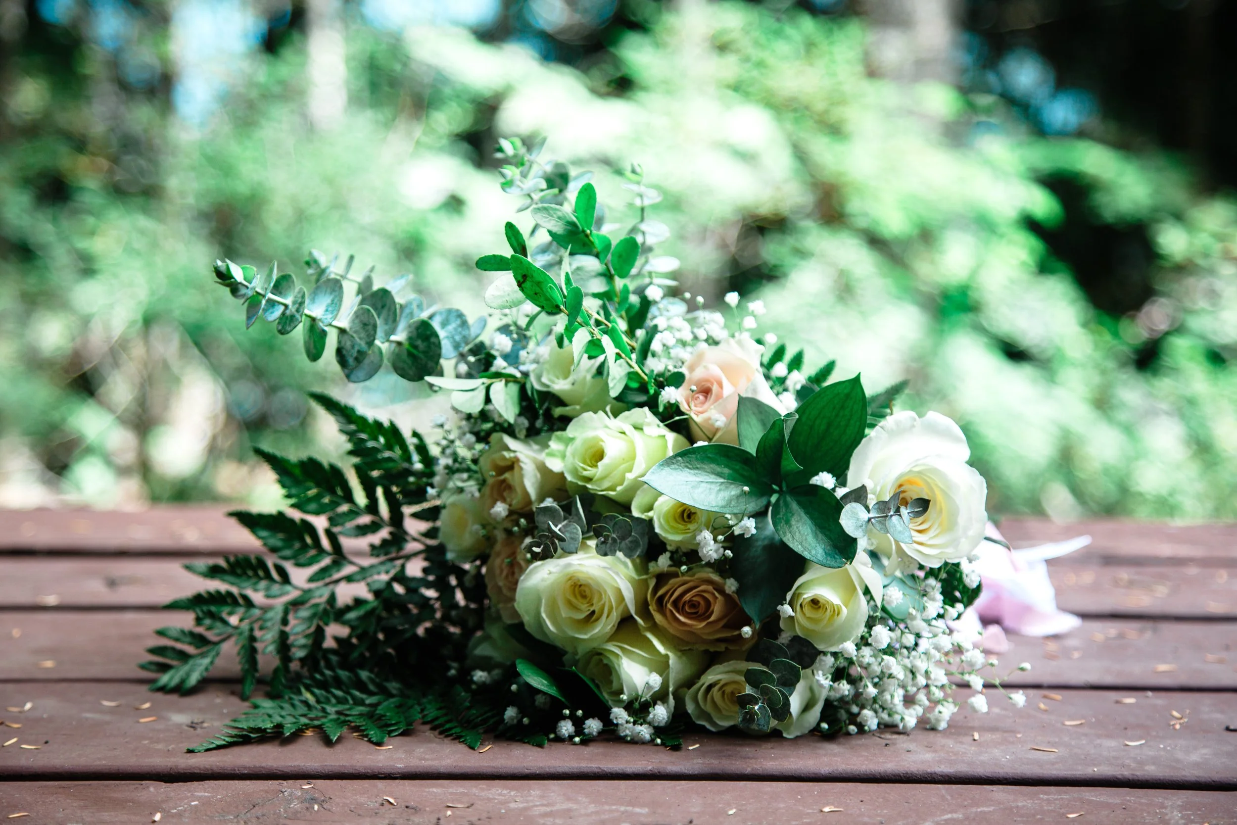 Jess & Caleb-Elopement-56-2026.jpg