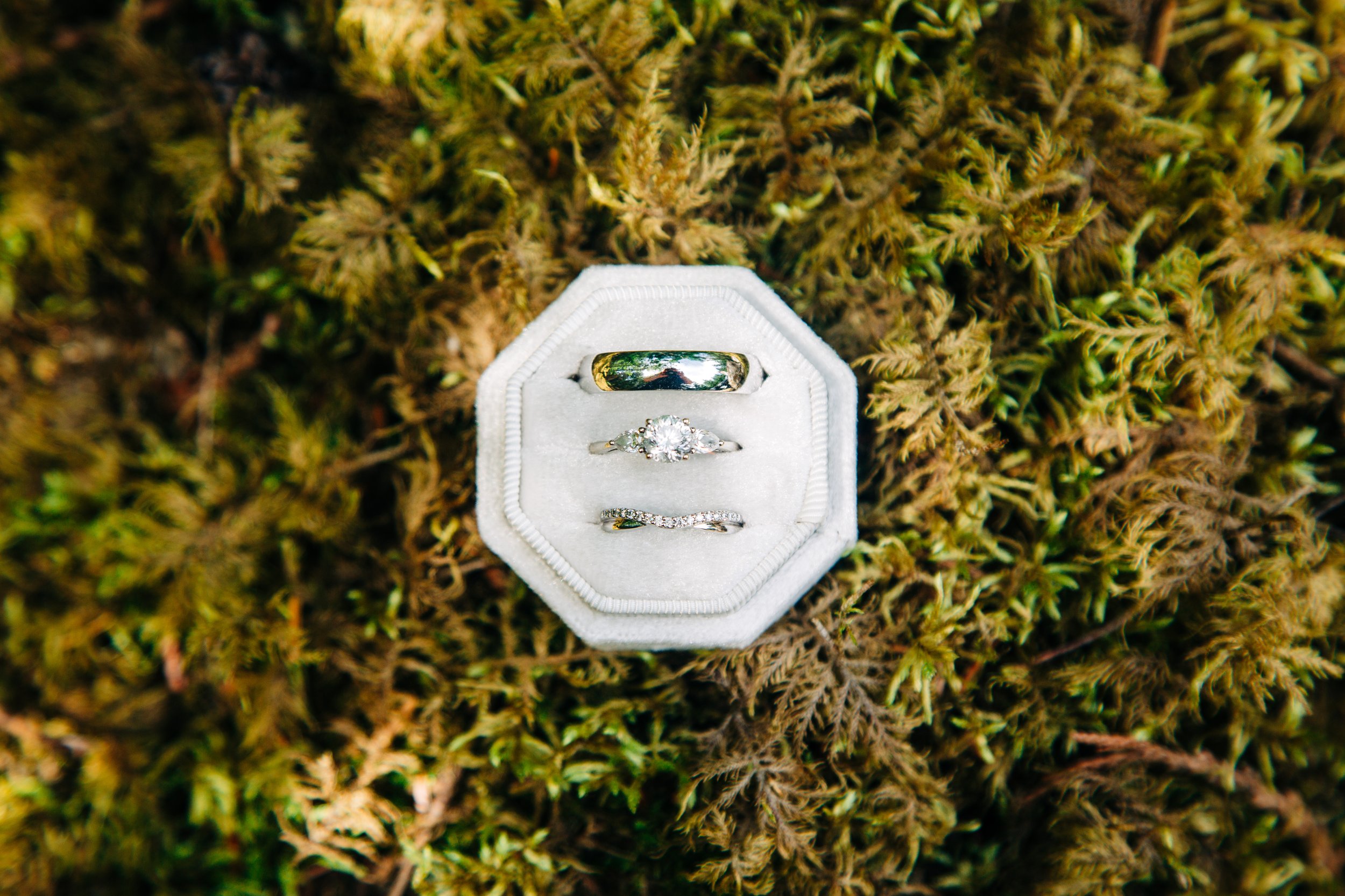 Jess & Caleb-Elopement-65-2026.jpg