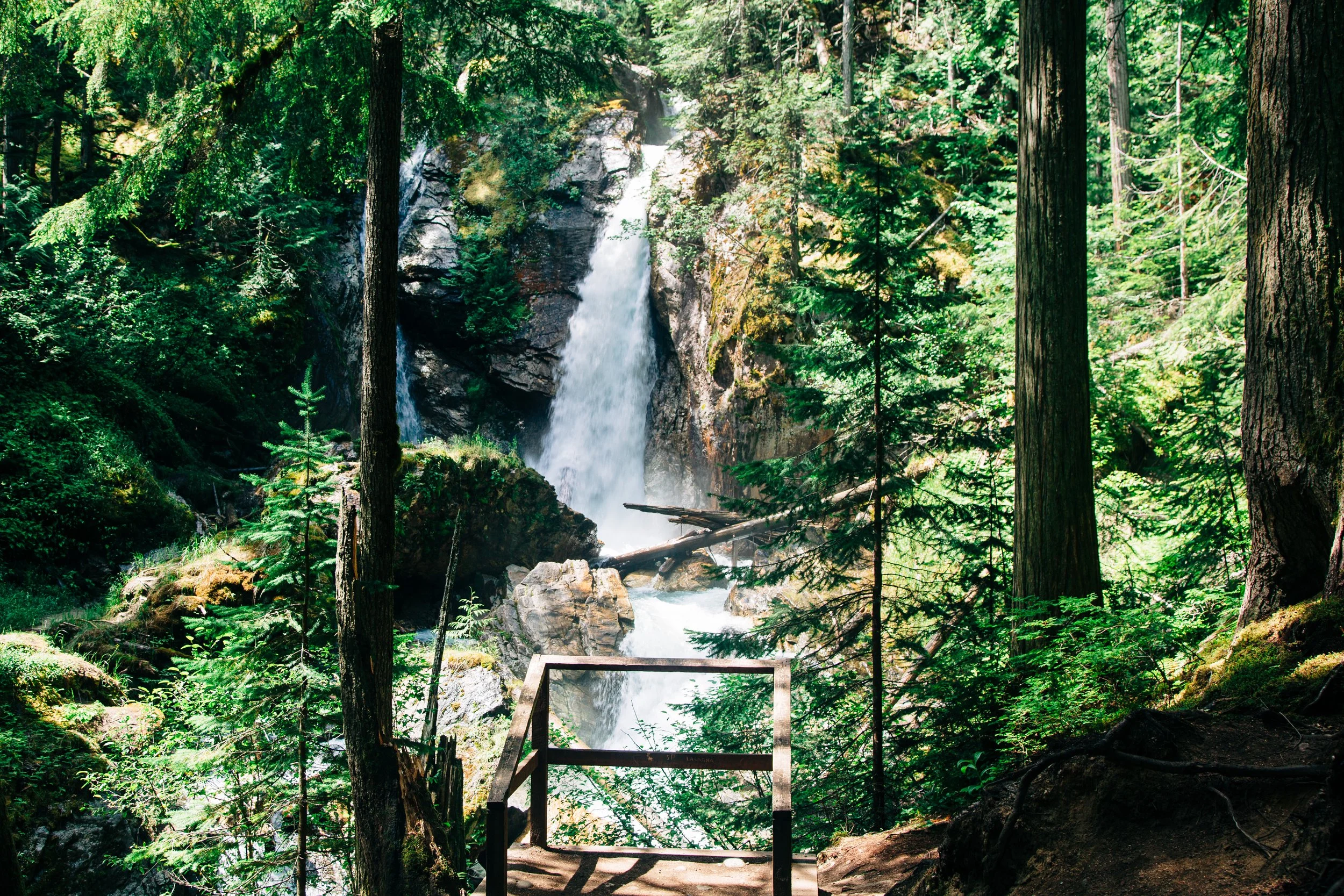 Jess & Caleb-Elopement-99-2026.jpg