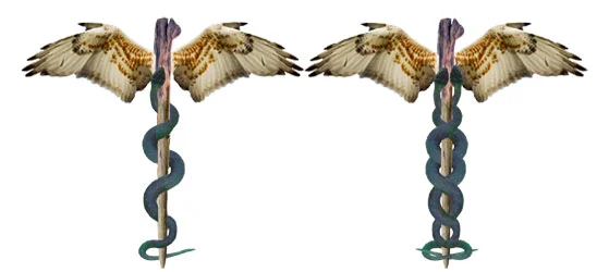 Single_double_caduceus.jpg