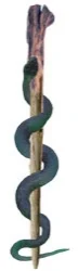 Aesculapian_caduceus.jpg