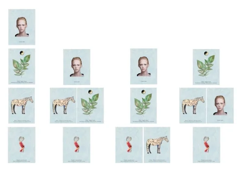 Left : 'normal' human, 2nd from left : Instinctual reflexive human, with strong active emotions, 3rd from left : Instinctual reflexive human whose power, sexuality, drive and ambition are buried. Right: A strongly emotional empathetic human driven by feelings.