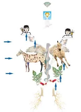 A disordered constellation; dominant human mind structured upon detail, dominant instincts–'on-the-go', dominant SNS (adrenergic dominance), dominant DNA activated