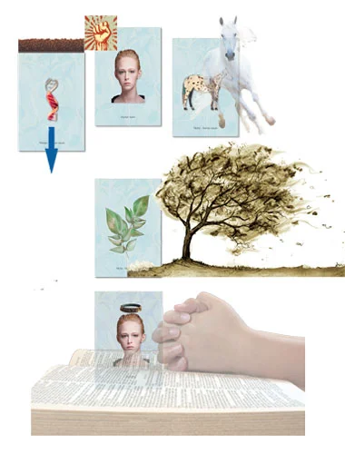 Graphic to illustrate the dynamics of an disordered internal content. The weight of the earth (material) captures the human, whose reactivity (animal, instinctual) with this hidden historical pattern, contains the feelings, and deeply buries (and hides) an old religious model of surrender or nobility.