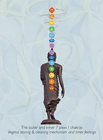 Chakras.jpg