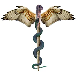 The caduceus in its ancient symbolic form: staff, snake and wings