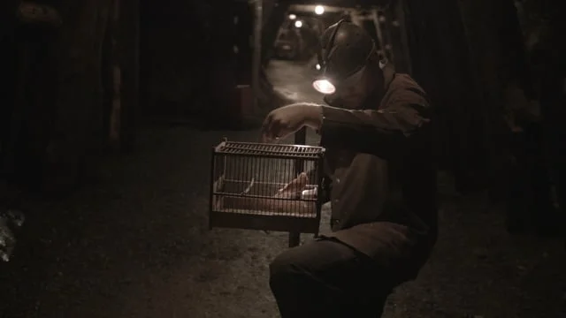 The Wind Dies The Sun Sets - Trailer