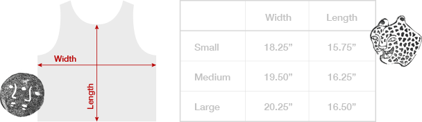 DSCR_Sizing-Chart.gif
