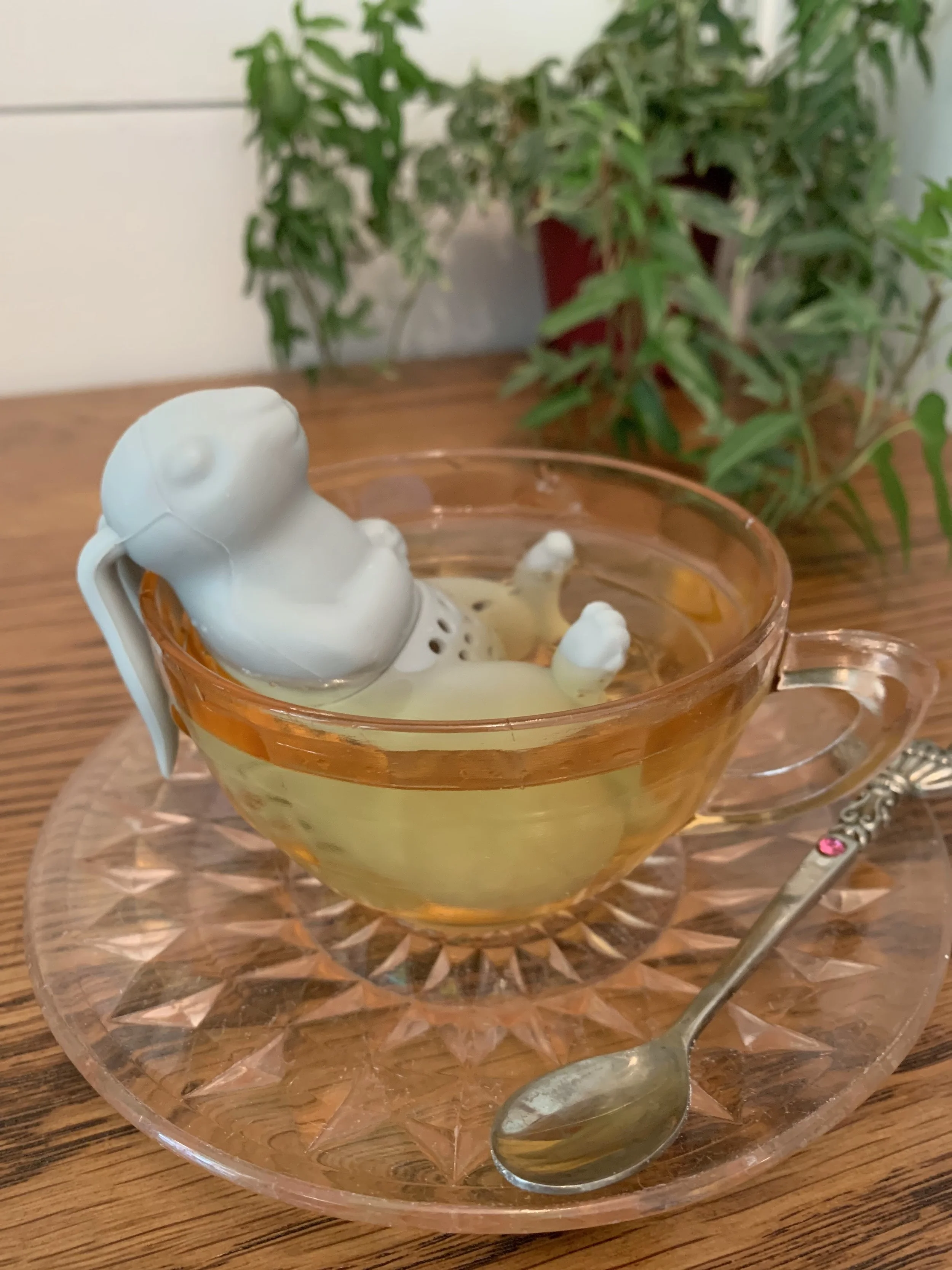 Relaxing Rabbit