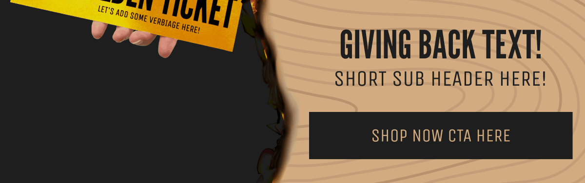 BF Bottom Banner Version #2.GIF