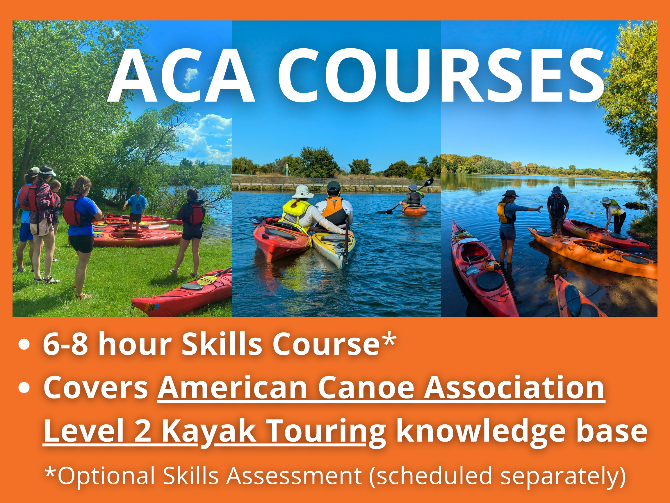 ACA Courses