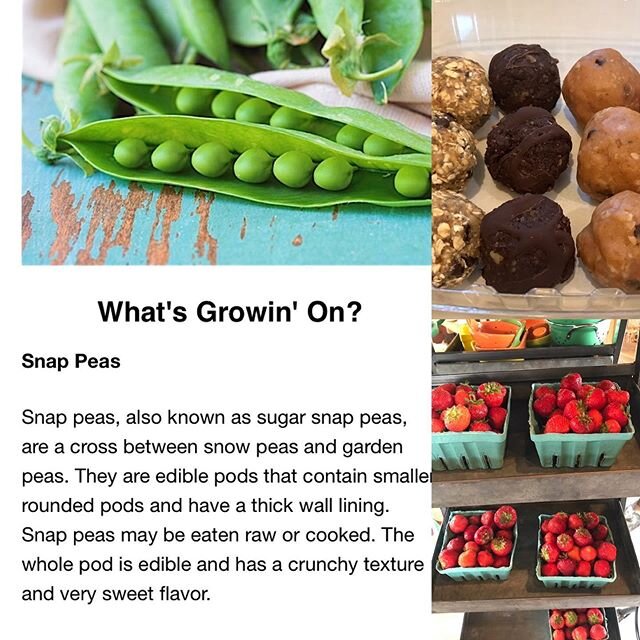 Elawa Farm&rsquo;s market is open tomorrow &amp; Sat. Love their post in their feature of snap peas. Excited to be offering 3 flavors on Molls Balls: coco shroom, anti-inflammatory turmeric &amp; almond butter protein (with chocolate chips). GF, Dair