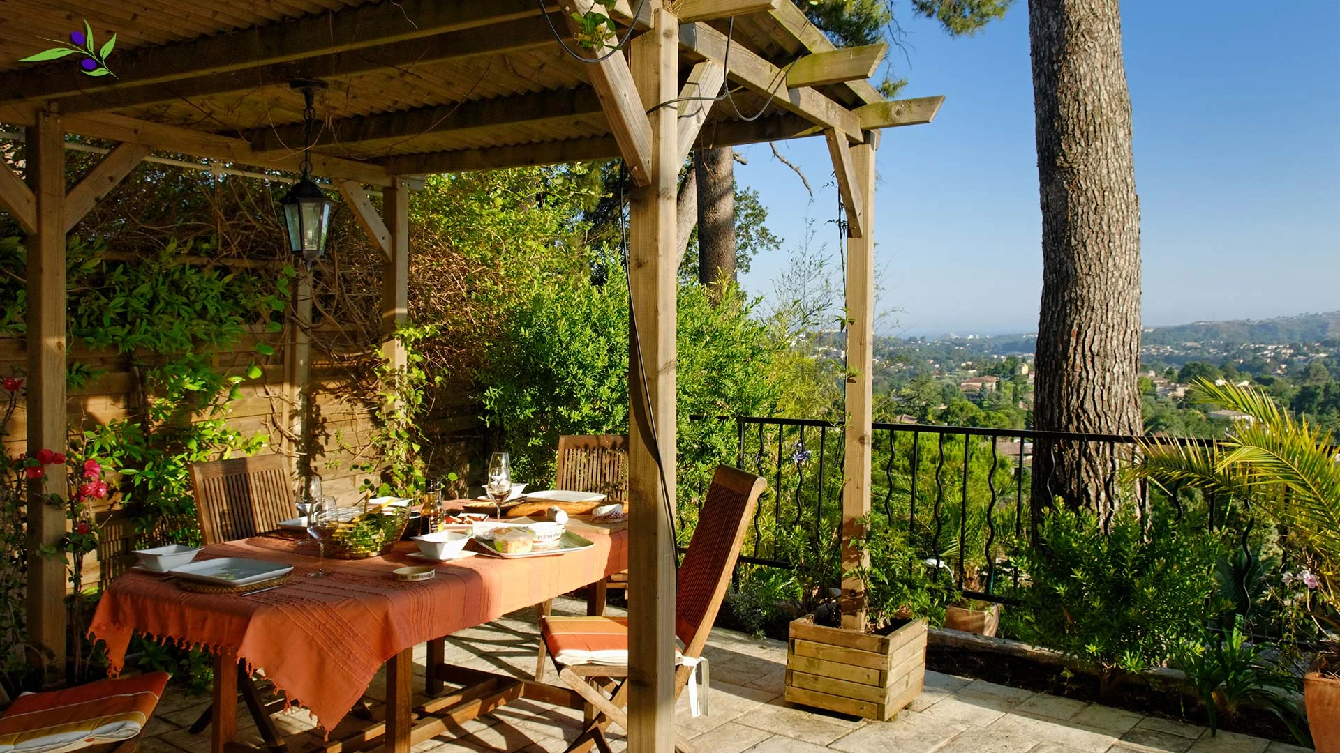 Dining under the Pergola