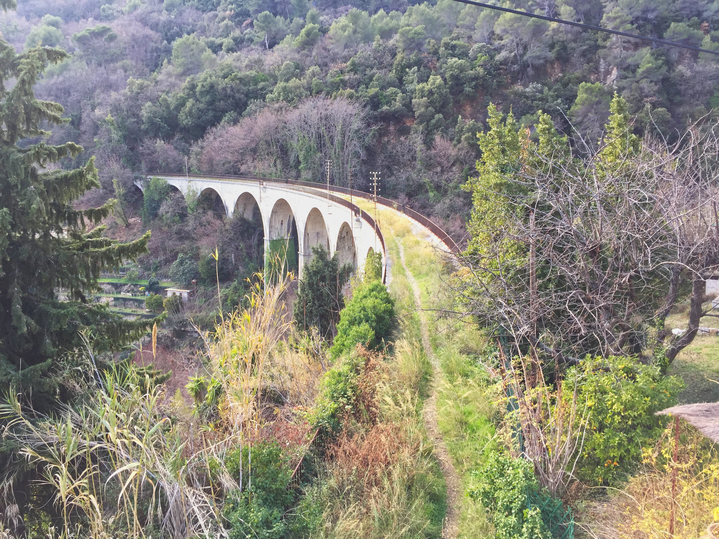 bridge.jpeg