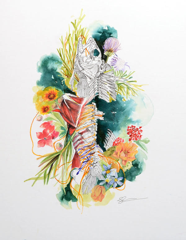 fish painting resize.jpeg