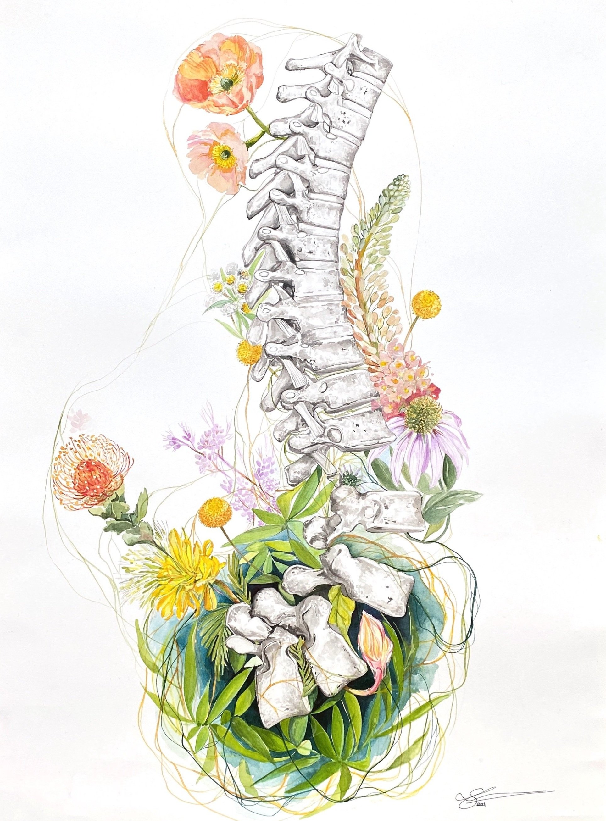 Intervertebral discs