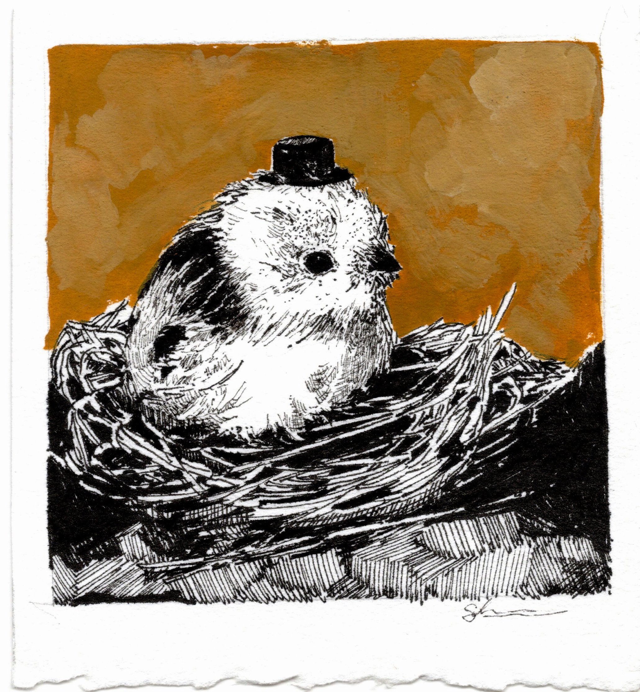 bird with hat.jpg