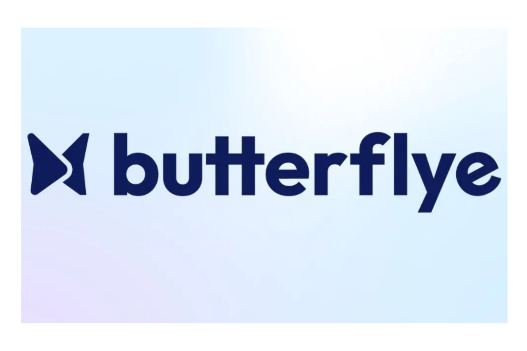 Butterflye.png