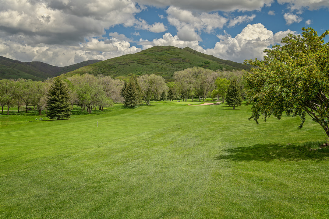 SLC_MtnDell_Canyon_01A_5-18.jpg