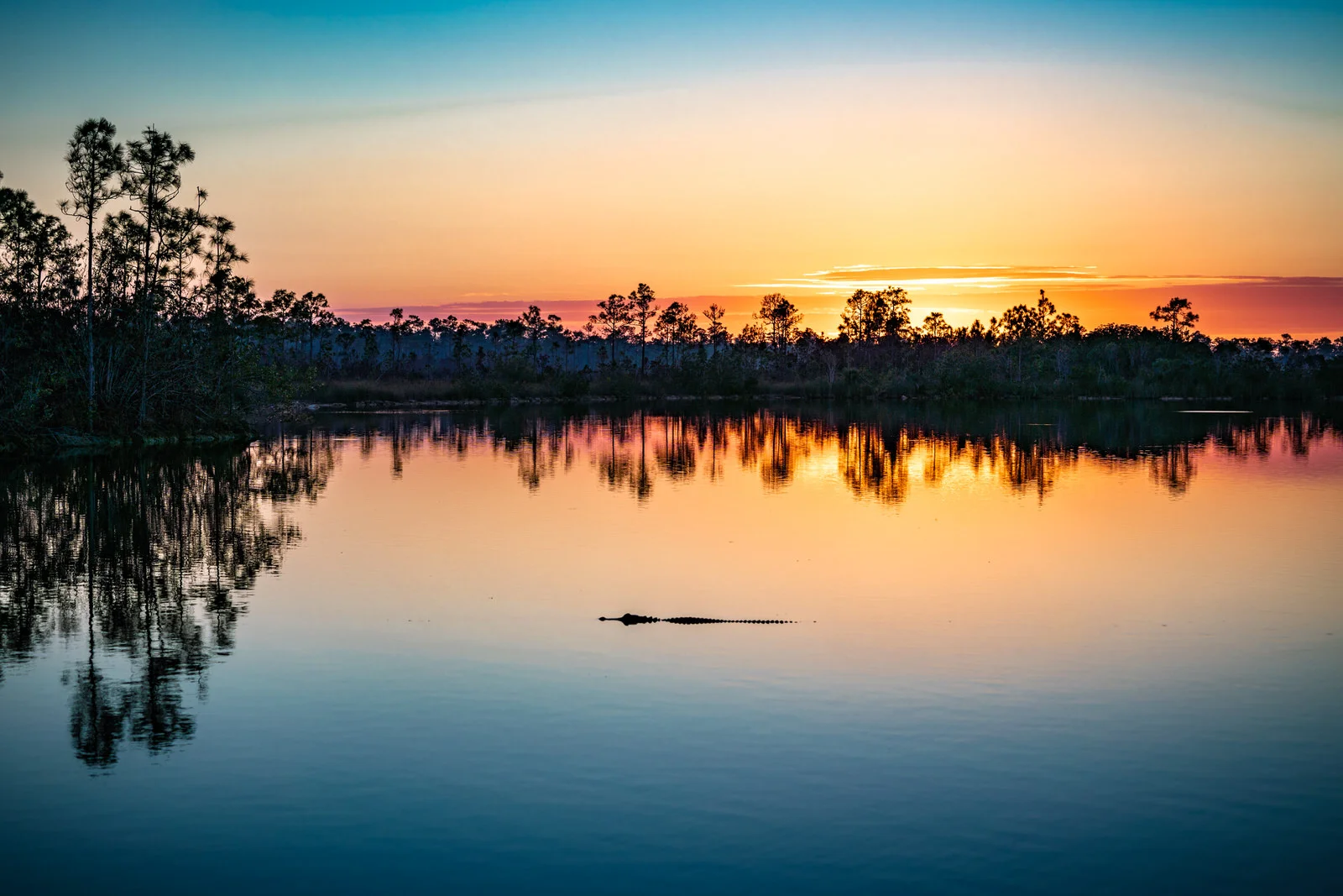 _A7R8080-1-50s.jpg